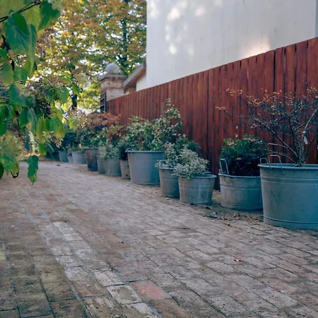 招待所 La Luna Nel Pozzo 帕爾馬