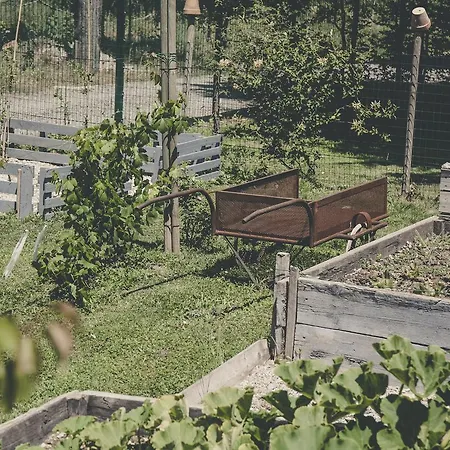 La Luna Nel Pozzo 招待所