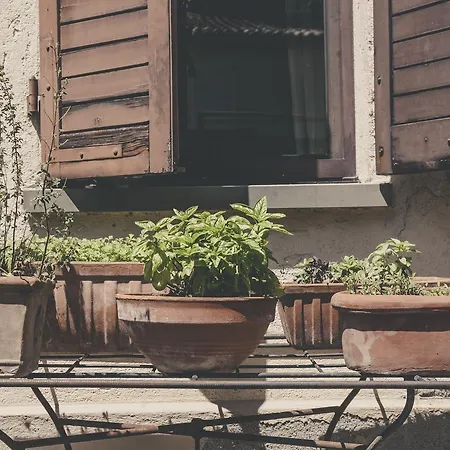 La Luna Nel Pozzo 帕爾馬