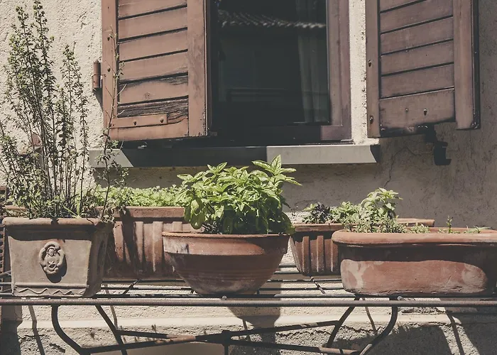 La Luna Nel Pozzo פארמה