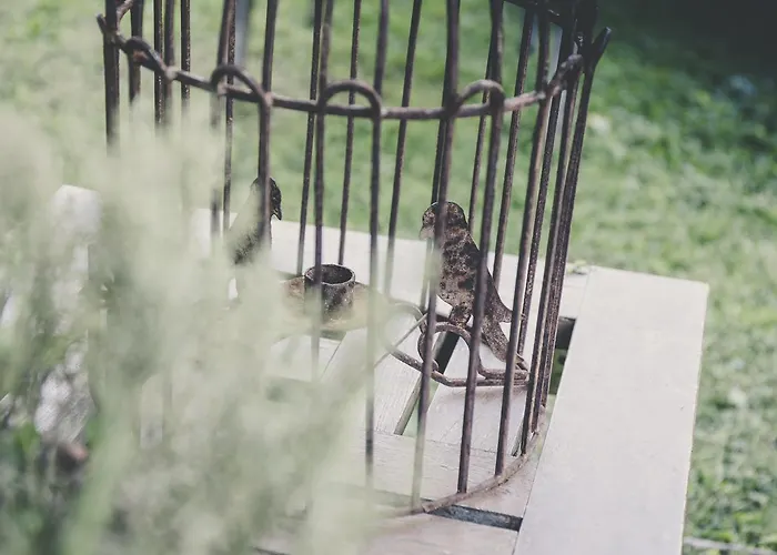 La Luna Nel Pozzo Parma
